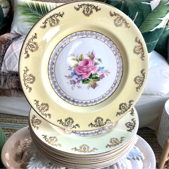 Beautiful Pink Rose “Southern” English Bone China
